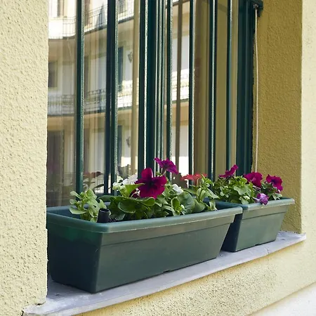 Lem Family Apartment